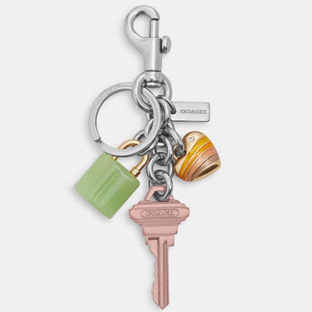 NWT Coach Key Cluster Bag Charm Keychain